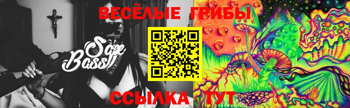 Муром  Галлюциногенные грибы Magic Shrooms  Псилоцибиновые грибы GOLDEN TEACHER  Вход с VPN 