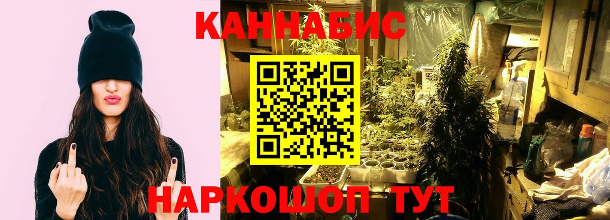 Канабис SATIVA & INDICA Муром